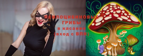 Альфа ПВП Арсеньев