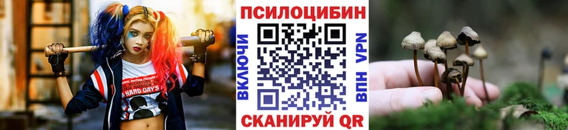 Галлюциногенные грибы мицелий  Новозыбков 